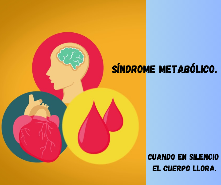 La importancia del Síndrome Metabólico.